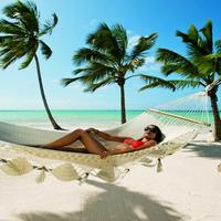 Отзыв от Аврора - DTV виза